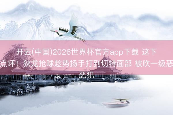 开云(中国)2026世界杯官方app下载 这下有点坏！狄龙抢球趁势扬手打到切特面部 被吹一级恶犯