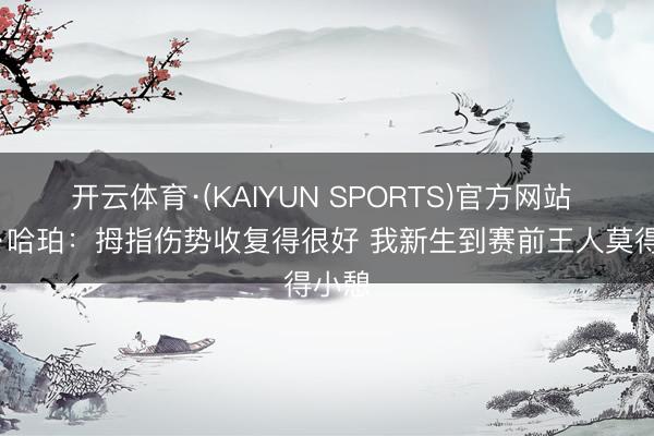 开云体育·(KAIYUN SPORTS)官方网站 迪伦·哈珀：拇指伤势收复得很好 我新生到赛前王人莫得小憩