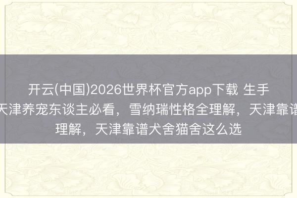 开云(中国)2026世界杯官方app下载 生手养狗攻略共享!天津养宠东谈主必看,雪纳瑞性格全理解,天津靠谱犬舍猫舍这么选
