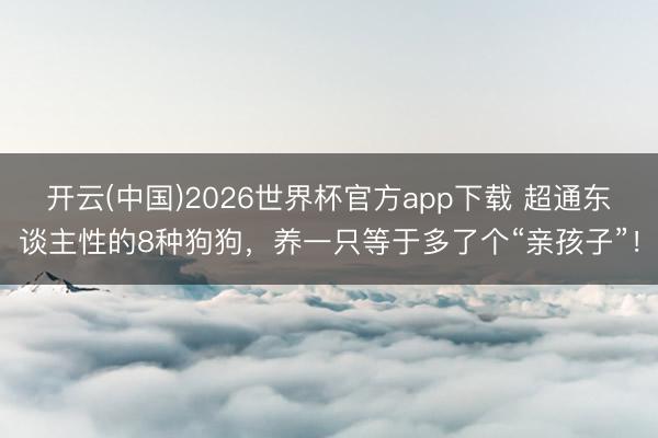 开云(中国)2026世界杯官方app下载 超通东谈主性的8种狗狗，养一只等于多了个“亲孩子”！