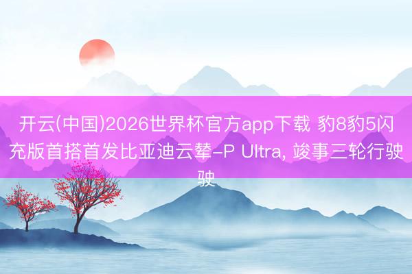 开云(中国)2026世界杯官方app下载 豹8豹5闪充版首搭首发比亚迪云辇-P Ul