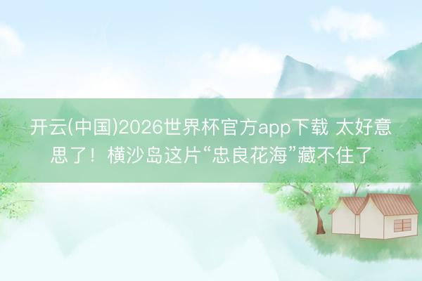 开云(中国)2026世界杯官方app下载 太好意思了！横沙岛这片“忠良花海”藏不住了