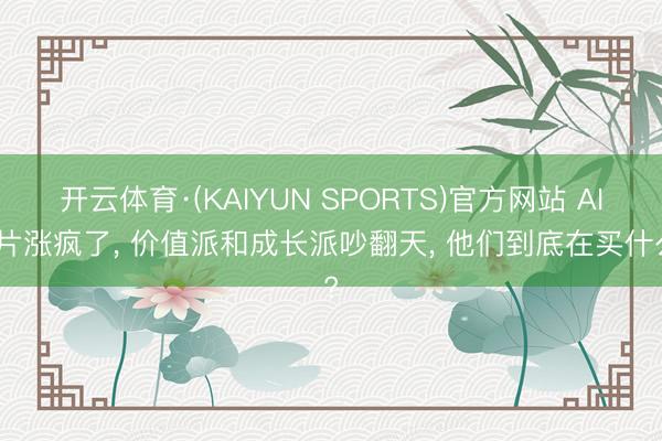 开云体育·(KAIYUN SPORTS)官方网站 AI芯片涨疯了， 价值派和成长派吵翻天， 他们到底在买什么?