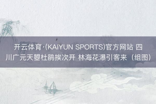 开云体育·(KAIYUN SPORTS)官方网站 四川广元天曌杜鹃挨次开 林海花瀑引客来（组图）