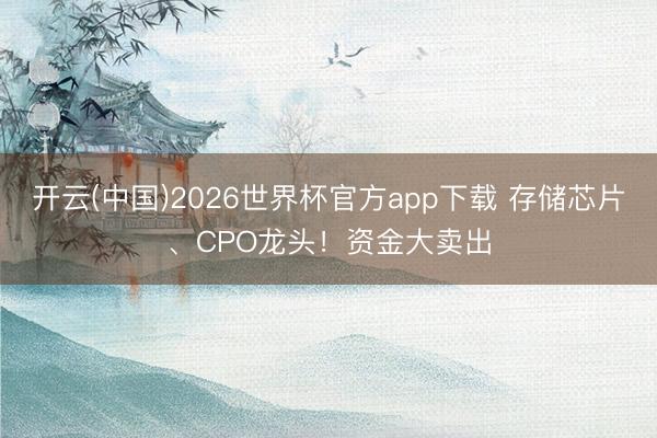 开云(中国)2026世界杯官方app下载 存储芯片、CPO龙头！资金大卖出