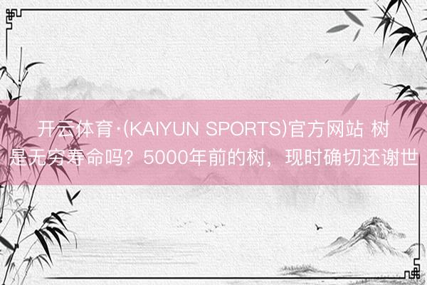 开云体育·(KAIYUN SPORTS)官方网站 树是无穷寿命吗？5000年前的树，现时确切还谢世